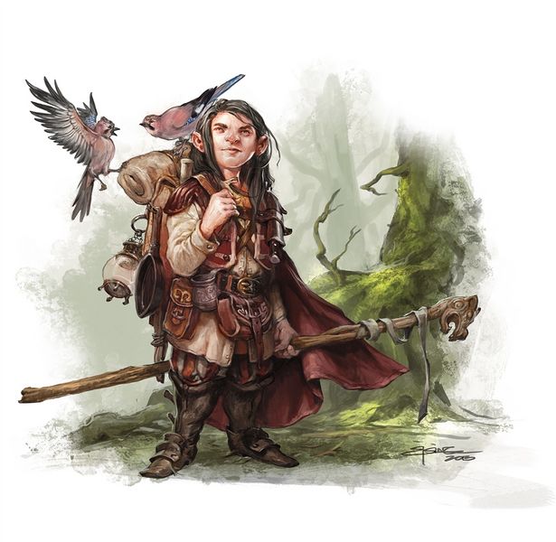 File:Druid.jpeg